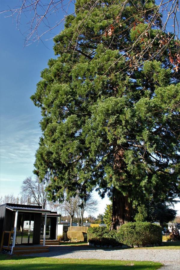 Geraldine Top 10 Holiday Park Exterior foto